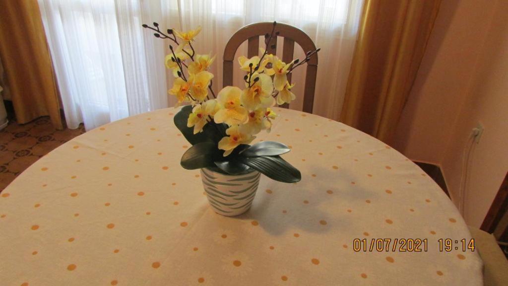 Apartment Tomy โตรกีร์ ภายนอก รูปภาพ